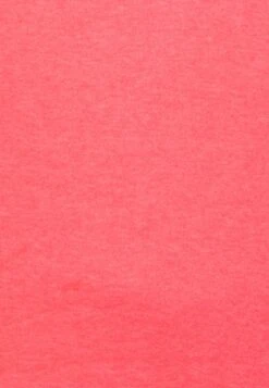 Ragwear GRIPY BOLD - Sweatshirt - Coral 12 Ragwear GRIPY BOLD - Sweatshirt - Coral -Ragwear 46a76579de5648c493b31572d909e789