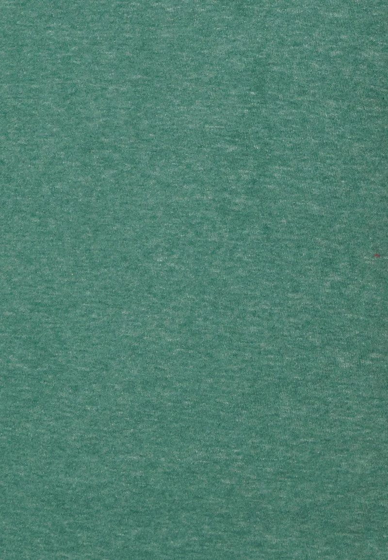 Ragwear GRIPY BOLD - Sweatshirt - Green Melange 7 Ragwear GRIPY BOLD - Sweatshirt - Green Melange – Bild 5